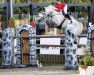 jumper Medina-Em (Danish Warmblood, 2014, from Boegegaardens Grafs Stakkato)