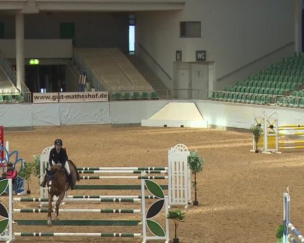 Reitturnier Kreuth/Opf. 2024