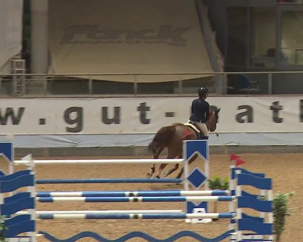 Reitturnier Kreuth/Opf. 2024