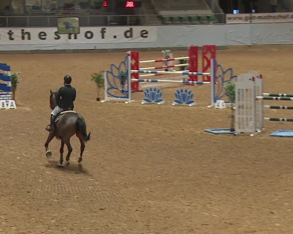 Reitturnier Kreuth/Opf. 2024