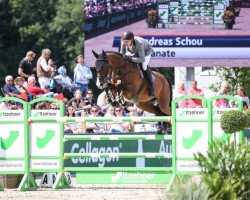 jumper Granate (KWPN (Royal Dutch Sporthorse), 2011, from Baltic VDL)