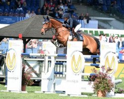 jumper Luigi 236 (Oldenburg show jumper, 2007, from Lord Z)