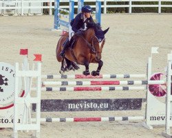 jumper Linsabelle Rouge (Oldenburg show jumper, 2008, from Hh Linton)