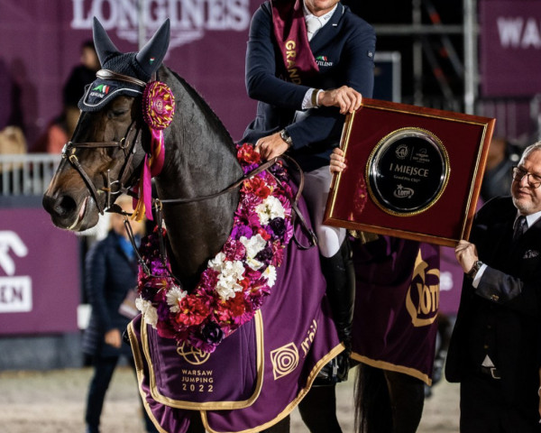 jumper Cicomein VDL (KWPN (Royal Dutch Sporthorse), 2007, from Chacco-Blue)