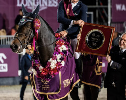 jumper Cicomein VDL (KWPN (Royal Dutch Sporthorse), 2007, from Chacco-Blue)