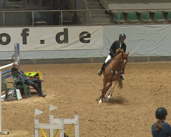 Reitturnier Kreuth/Opf. 2024