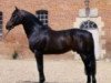 stallion Patara (FR) (French Trotter, 1959, from Gutemberg A (FR))