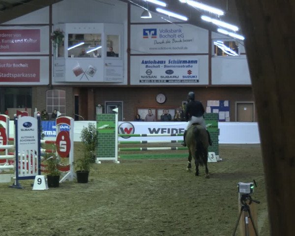 Reitturnier Barlo-Bocholt 2024