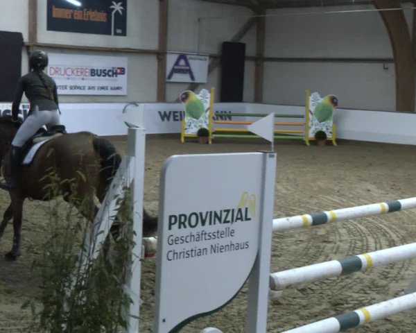 Reitturnier Barlo-Bocholt 2024