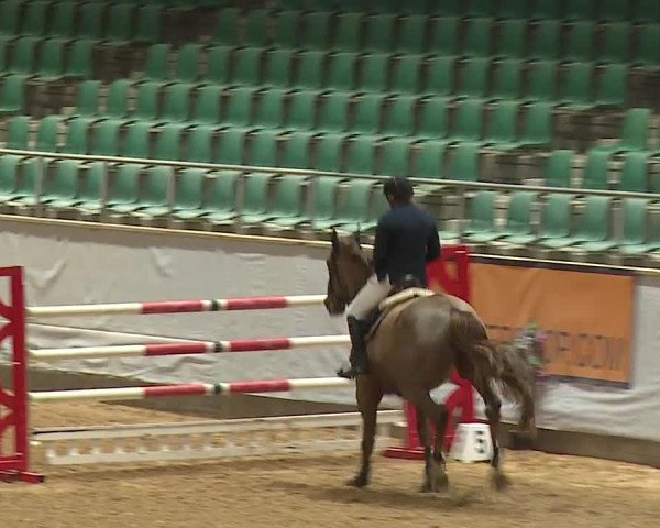 Reitturnier Kreuth/Opf. 2024