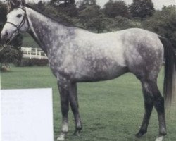 stallion April Axe xx (Thoroughbred, 1975, from The Axe xx)