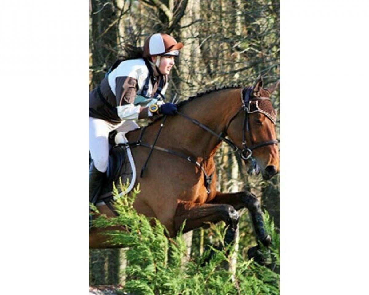 Pferd Quilkenny de Marigny (Selle Français, 2004, von Urbain du Monnai)