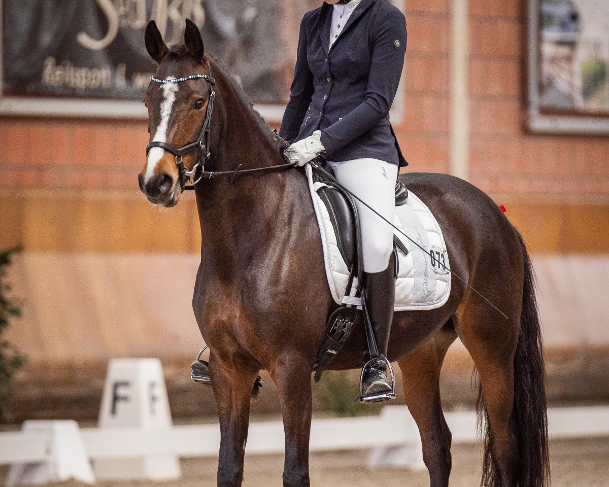 dressage horse Dori Von Titz (German Riding Pony, 2017, from Dating AT NRW)