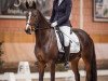 dressage horse Dori Von Titz (German Riding Pony, 2017, from Dating At NRW)