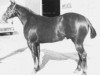 Deckhengst Aledo Bar (Quarter Horse, 1957, von Steel Bars)