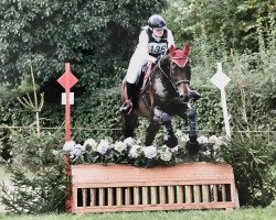 dressage horse Arco S CH (Swiss Warmblood, 2009, from Arioso du Theillet)