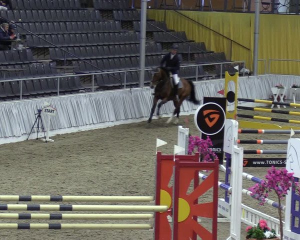 Reitturnier Verden 2024