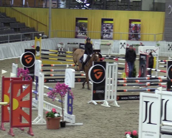 Reitturnier Verden 2024