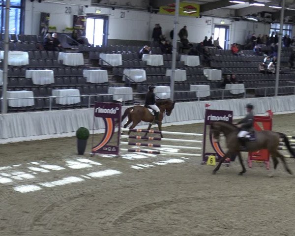 Reitturnier Verden 2024