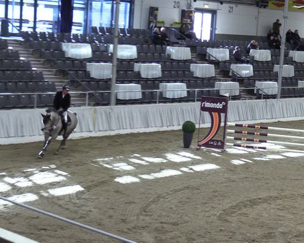 Reitturnier Verden 2024