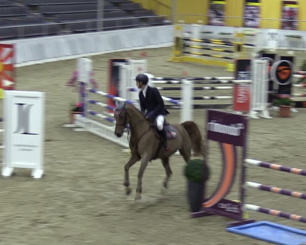Reitturnier Verden 2024