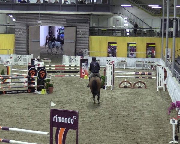 Reitturnier Verden 2024