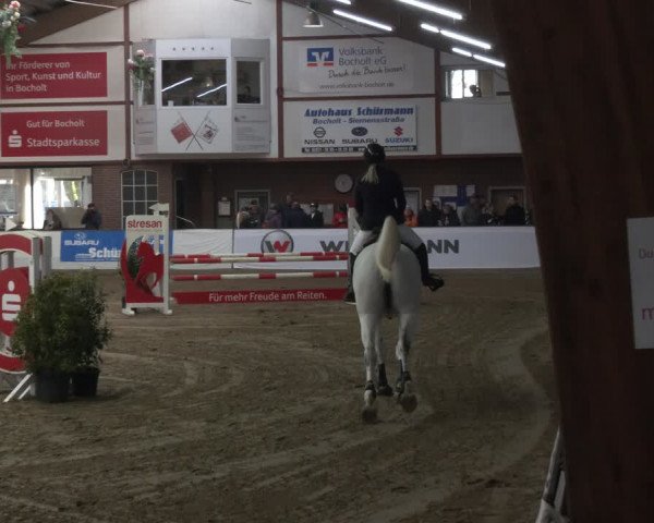 Reitturnier Barlo-Bocholt 2024