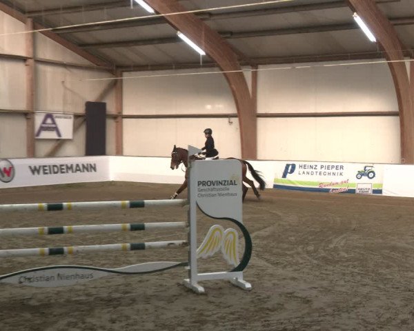 Reitturnier Barlo-Bocholt 2024