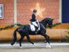 dressage horse Emiliano 11 (Oldenburg, 2019, from Everdale)