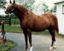 stallion Bon Mot xx (Thoroughbred, 1963, from Worden xx)