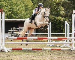 Zuchtstute Christelle O (Deutsches Reitpony, 2017, von Charmeur)