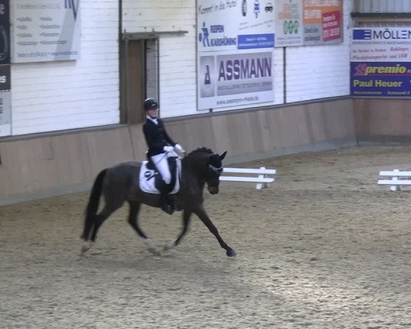 Reitturnier Rhede 2024