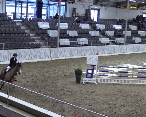 Reitturnier Verden 2024
