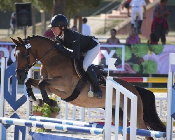 Springpferd Diabolo Meniljean (Französisches Pony, 2013, von Ulk d'Ete)