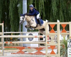 Pferd Cendrillon Dupavillon (Französisches Pony, 2012, von Ulk d'Ete)