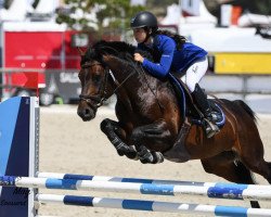 stallion Calgary Der Lenn (French Pony, 2012, from Usandro Tilia Derlenn)