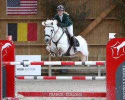 stallion Embleme du Ham (Connemara Pony, 2014, from Dexter Leam Pondi)