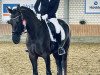 dressage horse Feen-Tanz (Hanoverian, 2016, from Fürsten-Look)