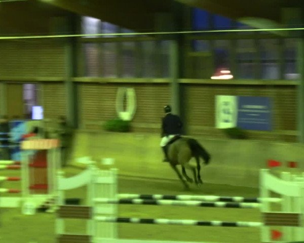 Reitturnier Köln-Leverkusen 2024