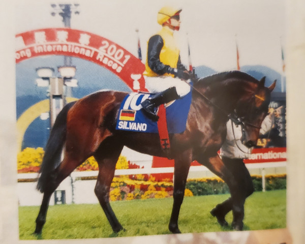 stallion Silvano xx (Thoroughbred, 1996, from Lomitas xx)