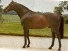 stallion Timmy Lad xx (Thoroughbred, 1961, from Tim Tam xx)