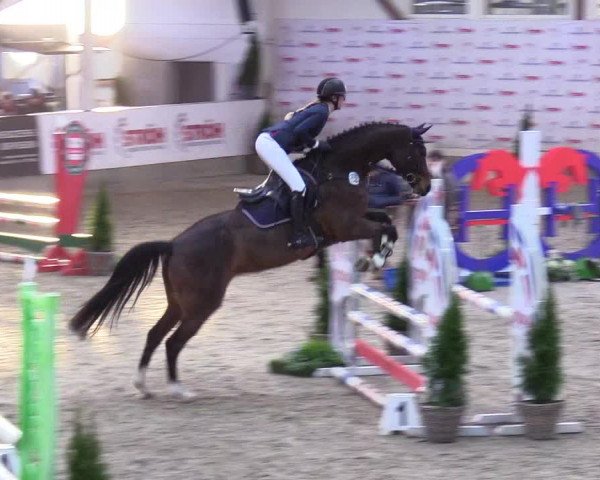 5. Nordic Jumping event Negernbötel 2024