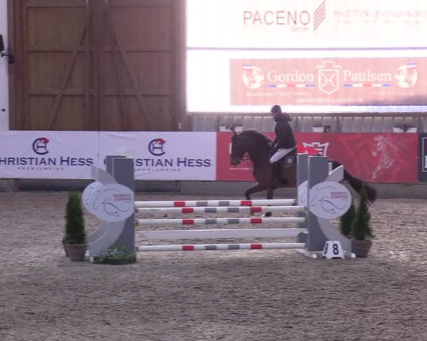 5. Nordic Jumping event Negernbötel 2024