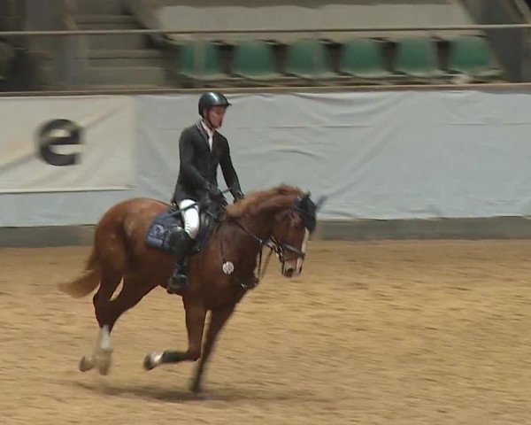 Reitturnier Kreuth/Opf. 2024