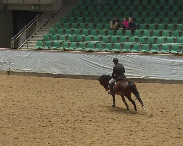 Reitturnier Kreuth/Opf. 2024