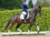 dressage horse Fritzi 180 (Westphalian, 2019, from Finest Selection OLD)