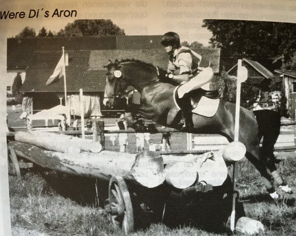 stallion Were Di's Aron (German Riding Pony, 1992, from Kooihuster Teake)