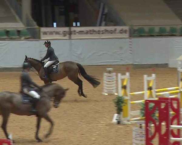 Reitturnier Kreuth/Opf. 2024