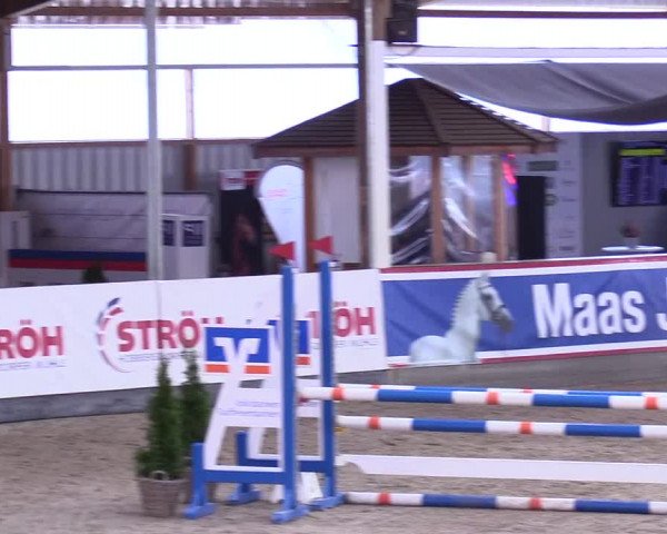 5. Nordic Jumping event Negernbötel 2024