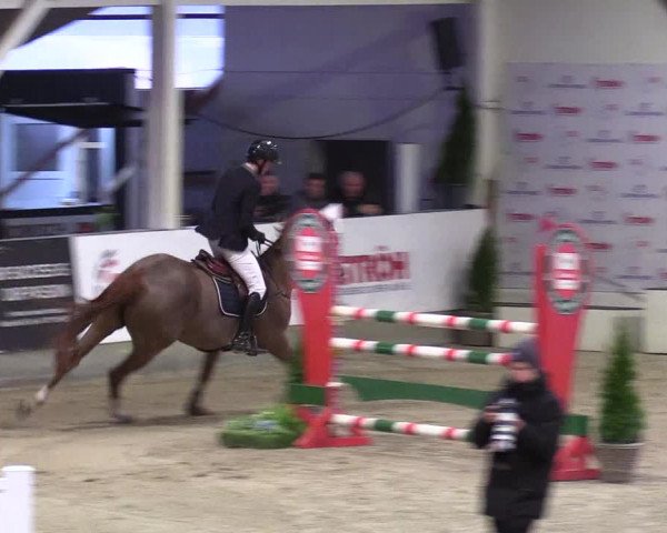 5. Nordic Jumping event Negernbötel 2024